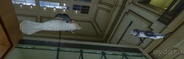 Если вы будете в США вы должны обязательно посетить этот музей!(+МНОГО ФОТО) Если вы будете в США вы должны обязательно посетить этот музей!(+МНОГО ФОТО)