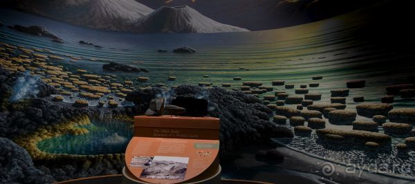 Если вы будете в США вы должны обязательно посетить этот музей!(+МНОГО ФОТО) Если вы будете в США вы должны обязательно посетить этот музей!(+МНОГО ФОТО)