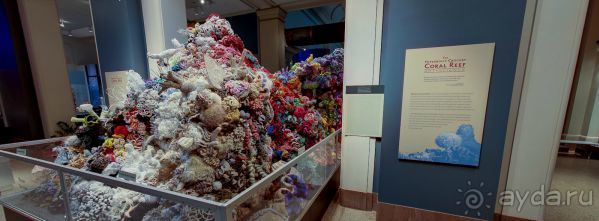 Если вы будете в США вы должны обязательно посетить этот музей!(+МНОГО ФОТО) Если вы будете в США вы должны обязательно посетить этот музей!(+МНОГО ФОТО)