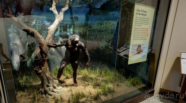 Если вы будете в США вы должны обязательно посетить этот музей!(+МНОГО ФОТО) Если вы будете в США вы должны обязательно посетить этот музей!(+МНОГО ФОТО)