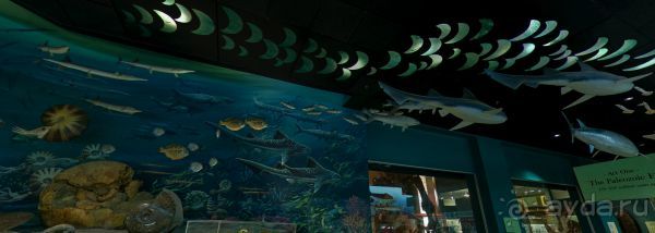 Если вы будете в США вы должны обязательно посетить этот музей!(+МНОГО ФОТО) Если вы будете в США вы должны обязательно посетить этот музей!(+МНОГО ФОТО)