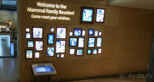 Если вы будете в США вы должны обязательно посетить этот музей!(+МНОГО ФОТО) Если вы будете в США вы должны обязательно посетить этот музей!(+МНОГО ФОТО)