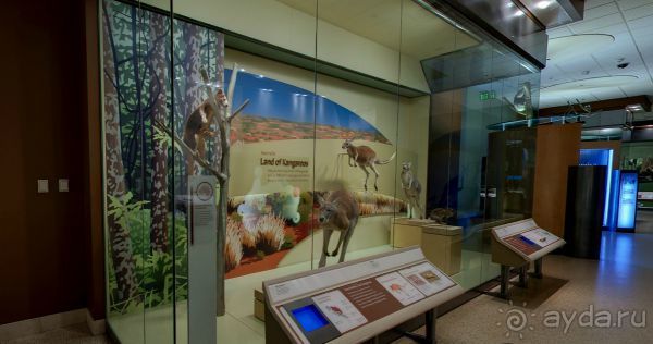 Если вы будете в США вы должны обязательно посетить этот музей!(+МНОГО ФОТО) Если вы будете в США вы должны обязательно посетить этот музей!(+МНОГО ФОТО)