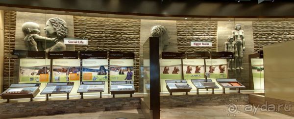 Если вы будете в США вы должны обязательно посетить этот музей!(+МНОГО ФОТО) Если вы будете в США вы должны обязательно посетить этот музей!(+МНОГО ФОТО)