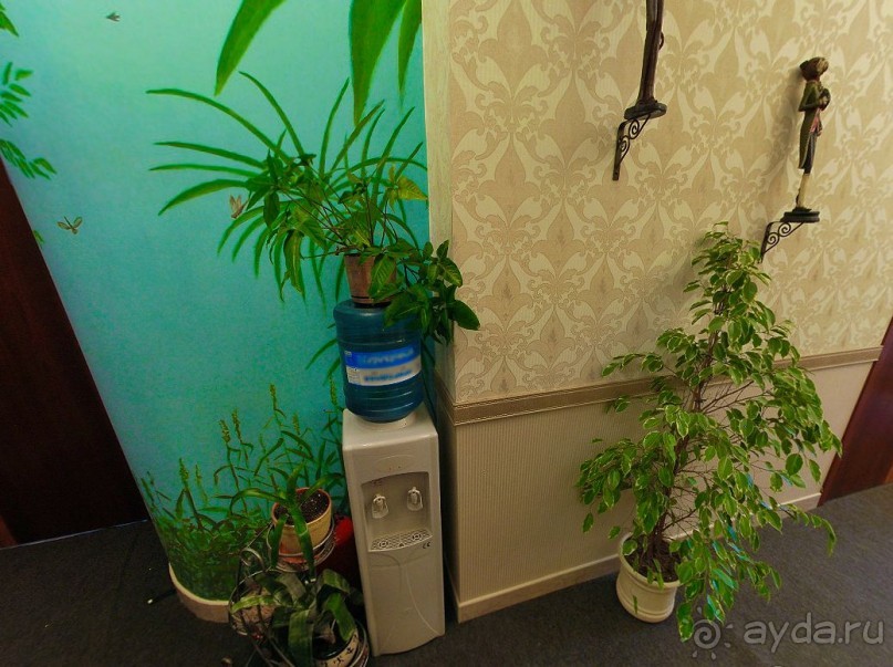 фото Ballunspitze