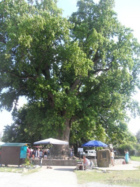 Величественное творение природы!+ ФОТО