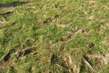 Величественное творение природы!+ ФОТО