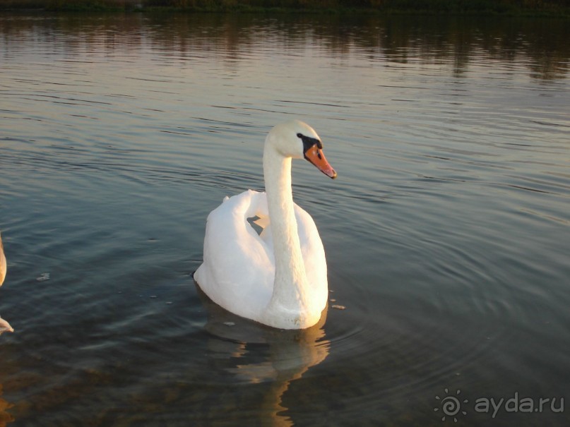 Музей-усадьба великого писателя М.А. Шолохова - Здесь Шолохов родился, жил и творил