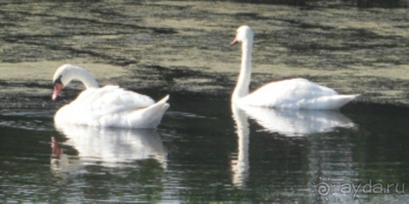 Музей-усадьба великого писателя М.А. Шолохова - Здесь Шолохов родился, жил и творил
