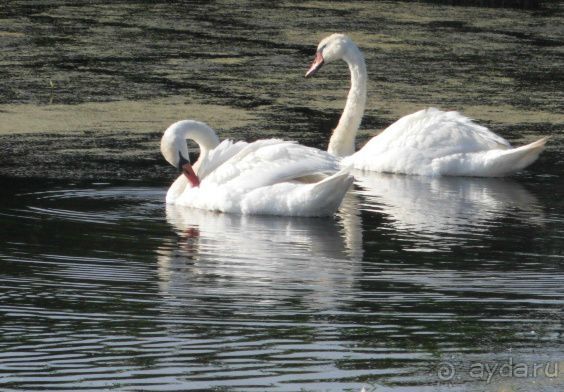 Музей-усадьба великого писателя М.А. Шолохова - Здесь Шолохов родился, жил и творил