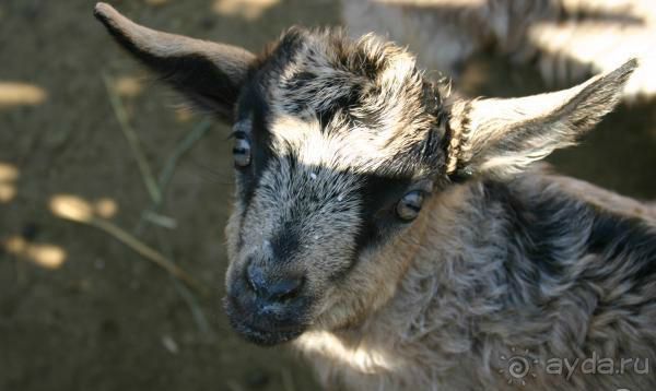 Кружилинский музей-заповедник "Подворье казака-середняка" 
