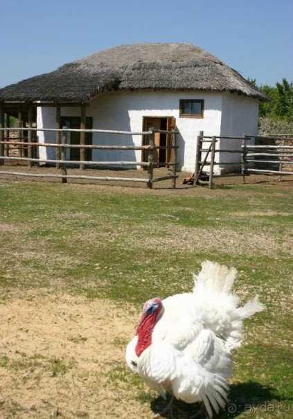 Кружилинский музей-заповедник "Подворье казака-середняка" 