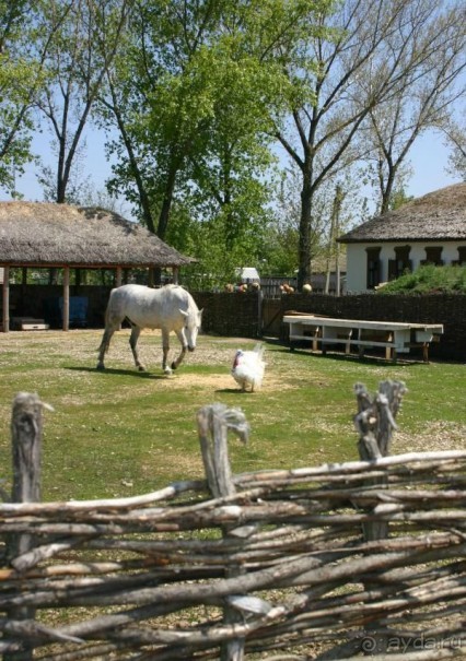 Кружилинский музей-заповедник "Подворье казака-середняка" 