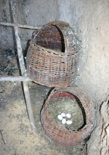 Кружилинский музей-заповедник "Подворье казака-середняка" 