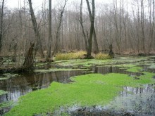 Рай для любителей чистой природы! (+МНОГО ФОТО)