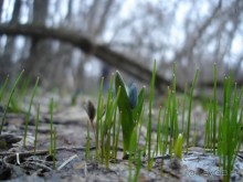 Рай для любителей чистой природы! (+МНОГО ФОТО)