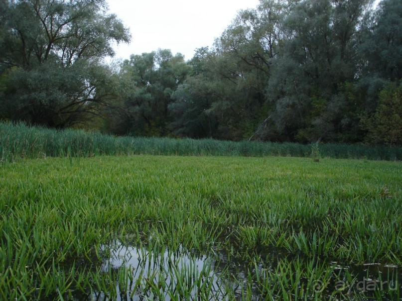 Рай для любителей чистой природы! (+МНОГО ФОТО)