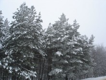 Рай для любителей чистой природы! (+МНОГО ФОТО)