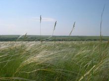 Рай для любителей чистой природы! (+МНОГО ФОТО)