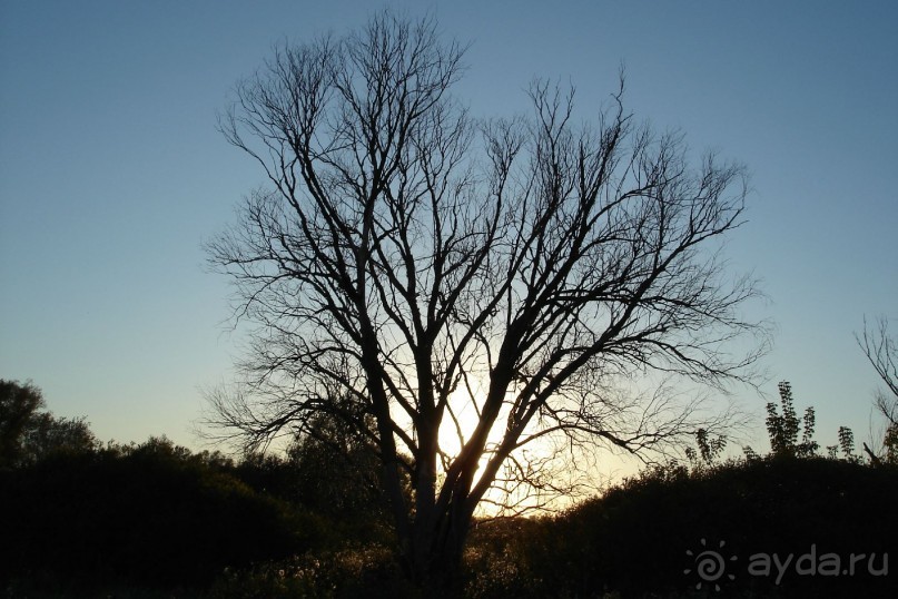 Рай для любителей чистой природы! (+МНОГО ФОТО)