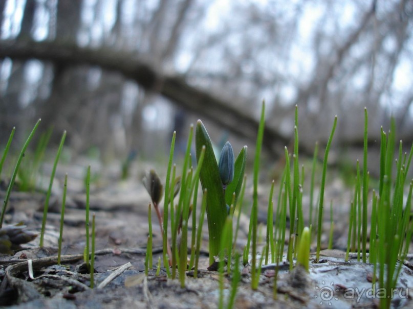 Рай для любителей чистой природы! (+МНОГО ФОТО)