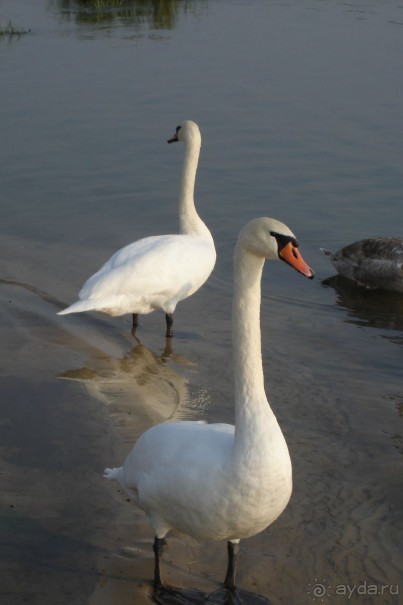 Рай для любителей чистой природы! (+МНОГО ФОТО)