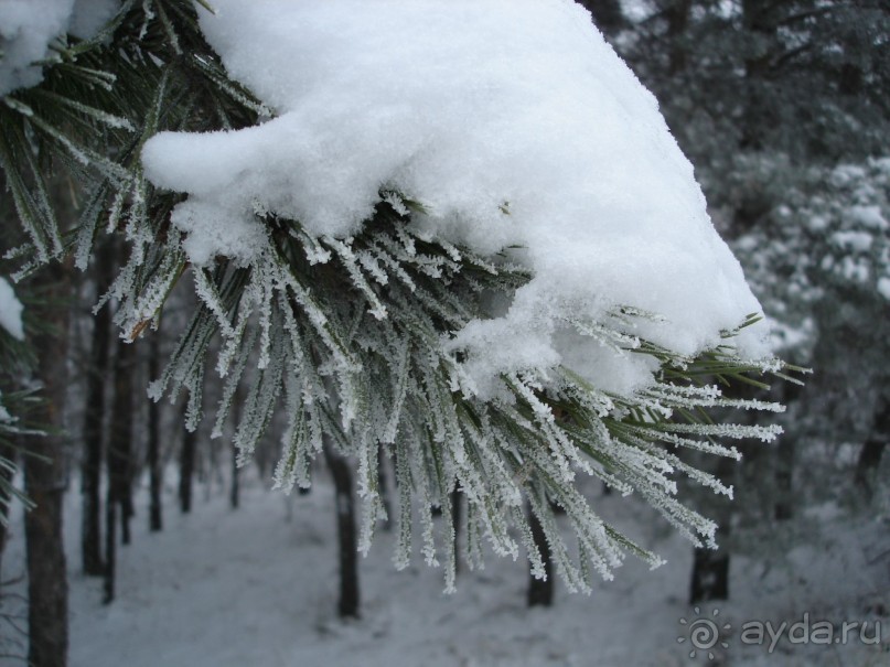 Рай для любителей чистой природы! (+МНОГО ФОТО)