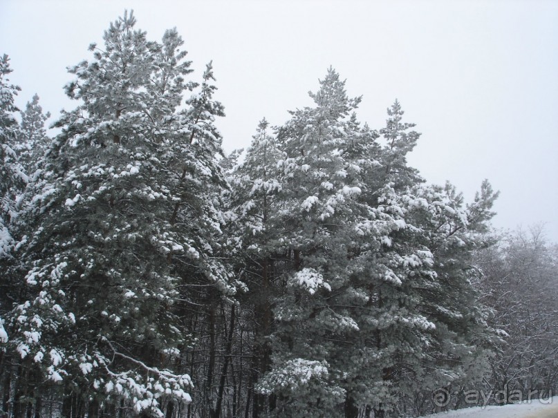 Рай для любителей чистой природы! (+МНОГО ФОТО)