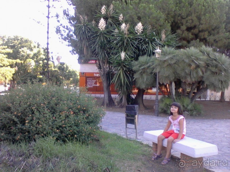 Альбом отзыва 