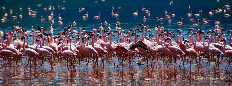 фото Найроби