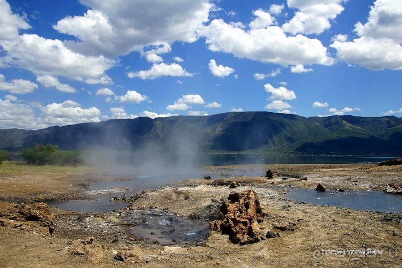 Кения озеро Богория