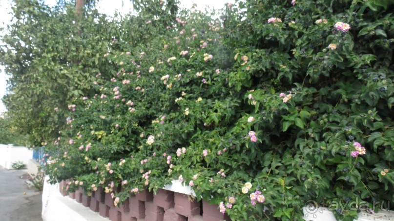 Супер отдых!!! Отдыхали 2 осени подряд- октябрь.