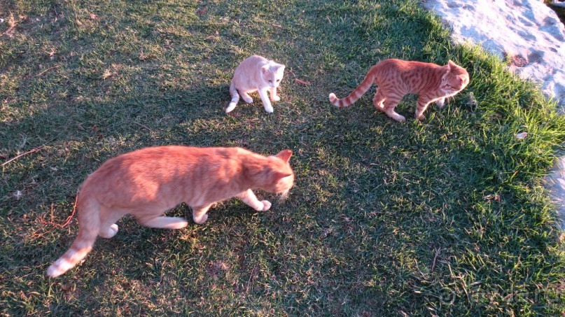 Супер отдых!!! Отдыхали 2 осени подряд- октябрь.