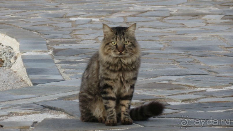 Супер отдых!!! Отдыхали 2 осени подряд- октябрь.