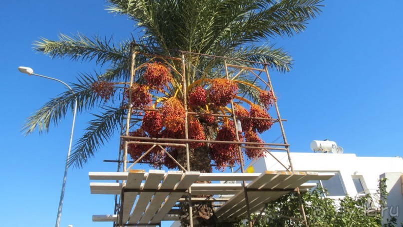 Супер отдых!!! Отдыхали 2 осени подряд- октябрь.