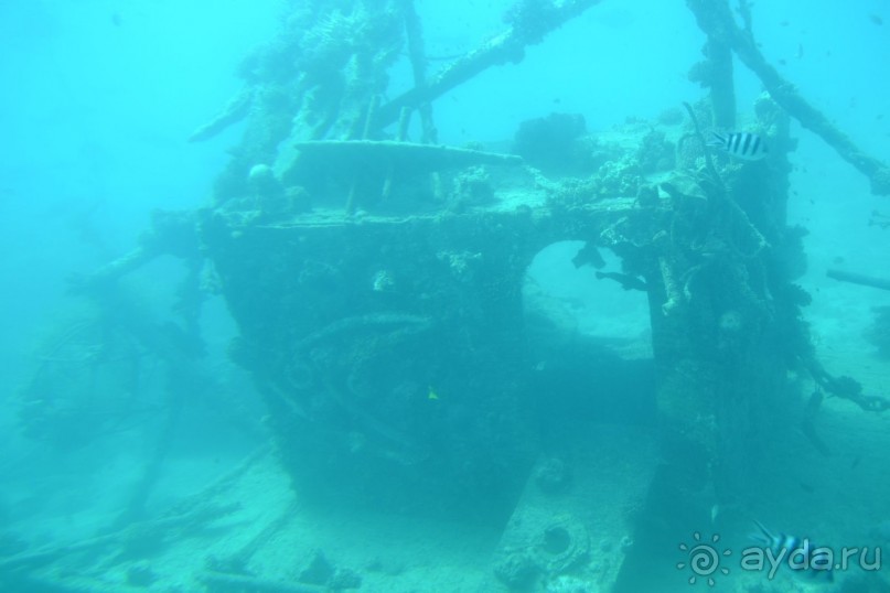 Хургада. Отель Аладдин - 4*.