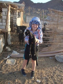 Хургада. Отель Аладдин - 4*.