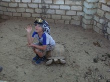 Хургада. Отель Аладдин - 4*.