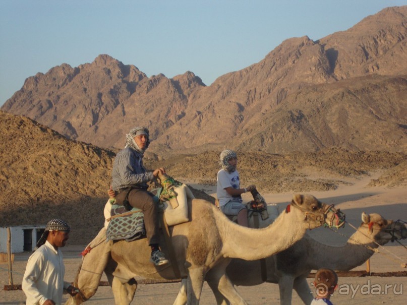 Хургада. Отель Аладдин - 4*.