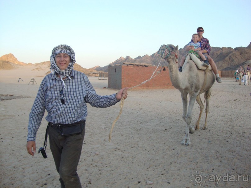 Хургада. Отель Аладдин - 4*.