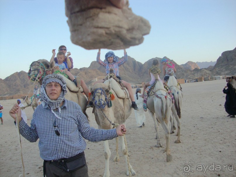 Хургада. Отель Аладдин - 4*.