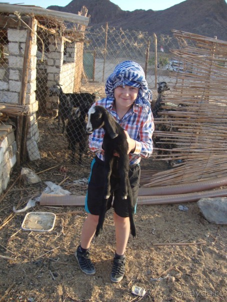 Хургада. Отель Аладдин - 4*.