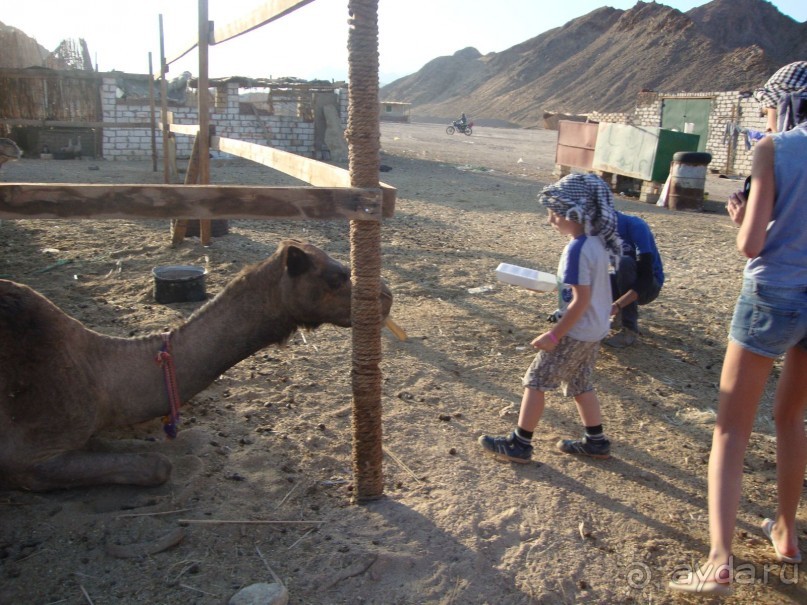 Хургада. Отель Аладдин - 4*.