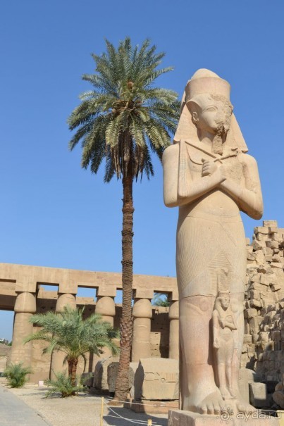 Хургада. Отель Аладдин - 4*.