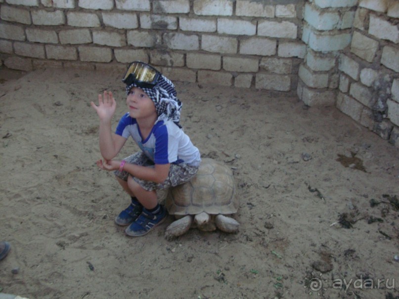 Хургада. Отель Аладдин - 4*.