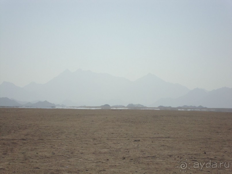 Хургада. Отель Аладдин - 4*.