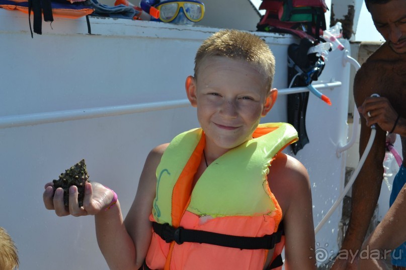 Хургада. Отель Аладдин - 4*.