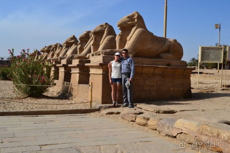 Хургада. Отель Аладдин - 4*.