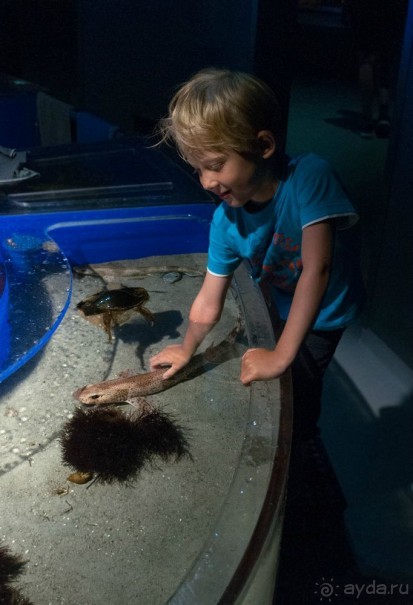 Поход в Данию с ребенком, палаткой и на самолете!
