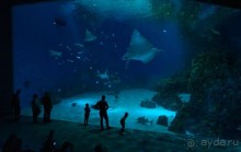 Поход в Данию с ребенком, палаткой и на самолете!